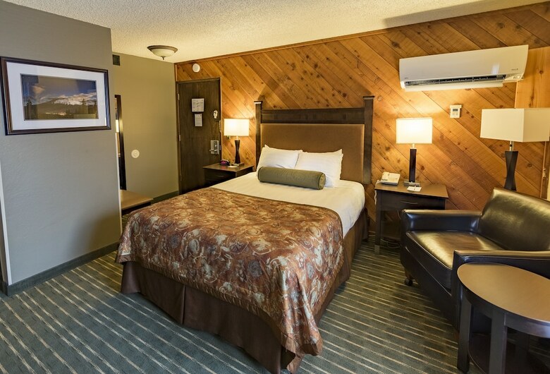 Hotel Best Western Plus Tree House