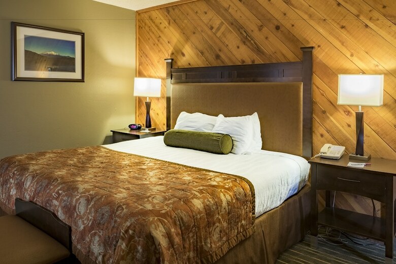 Hotel Best Western Plus Tree House