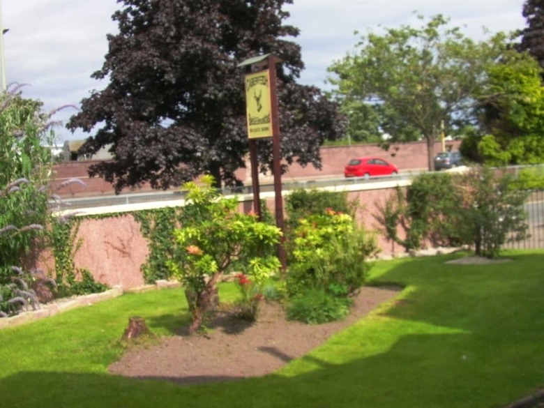 Caberfeidh B&B
