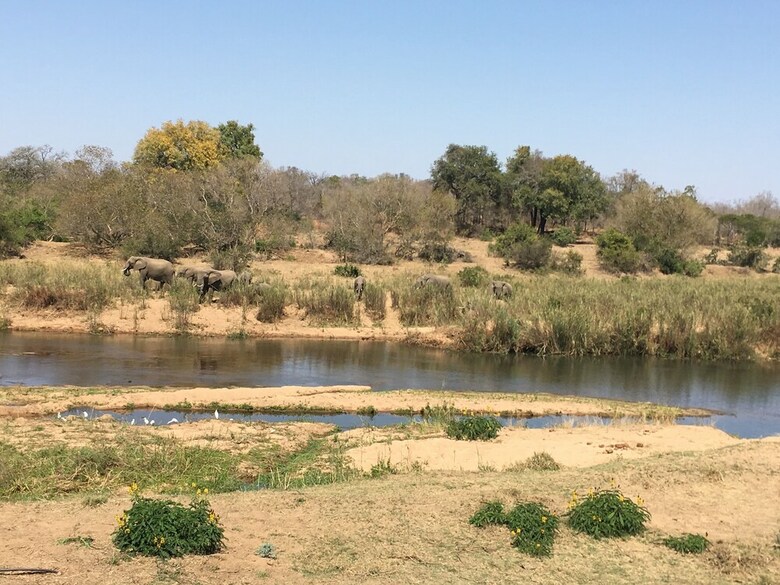 Posada Sabie River Bush Lodge