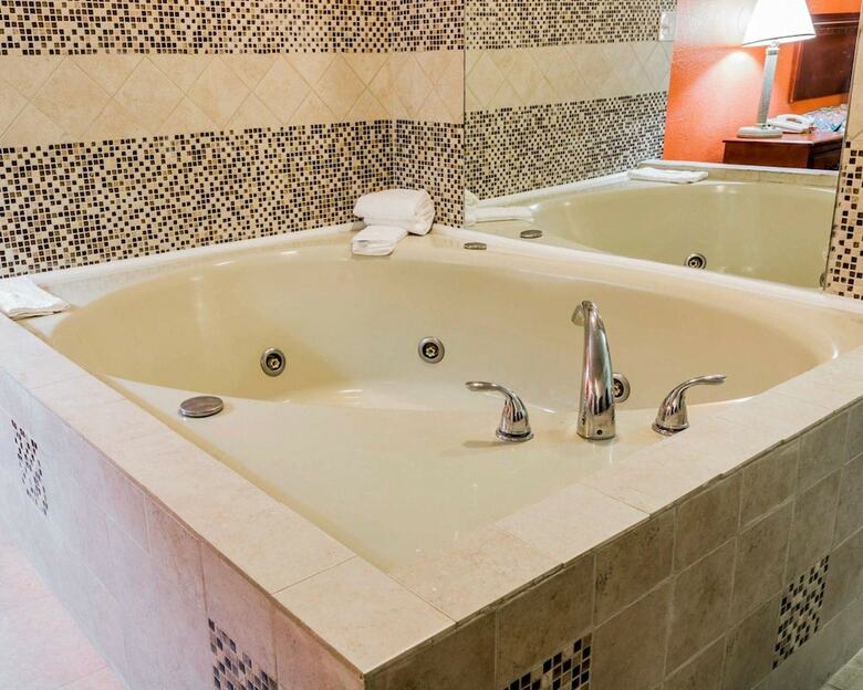 Motel Rodeway Inn Auburn Hills