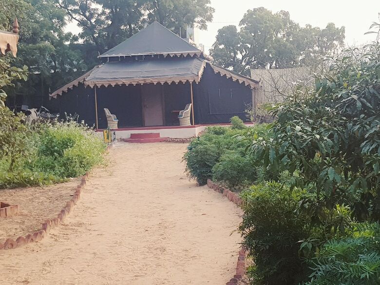 Orchard Tents & Tranquility