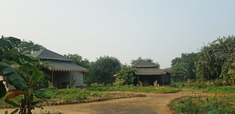 Orchard Tents & Tranquility