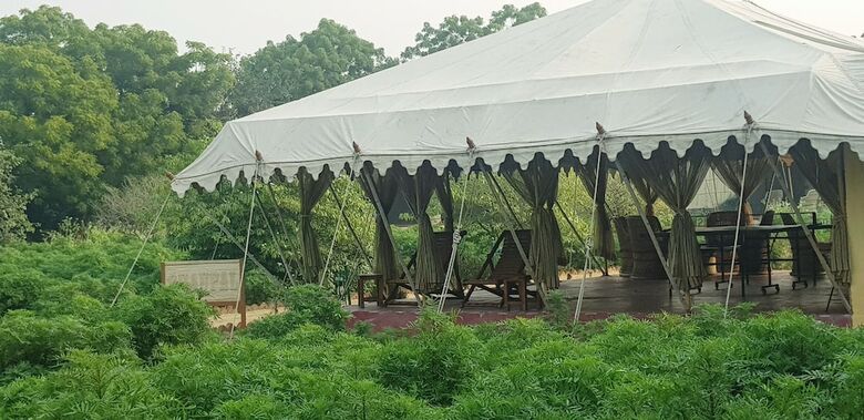 Orchard Tents & Tranquility