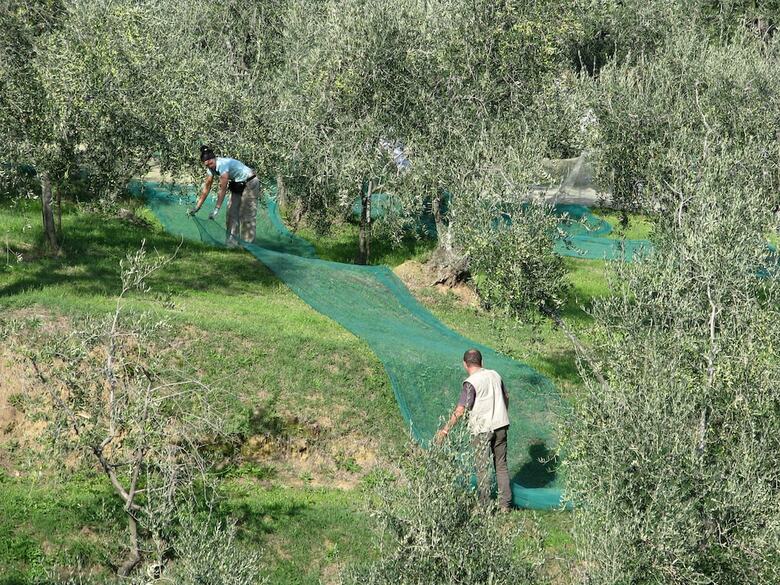La Piana B&B
