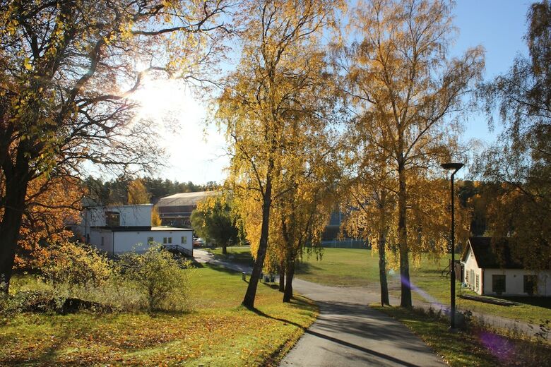 Hotel Bos�n