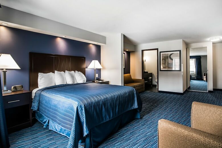 Hotel Quality Inn & Suites Downtown
