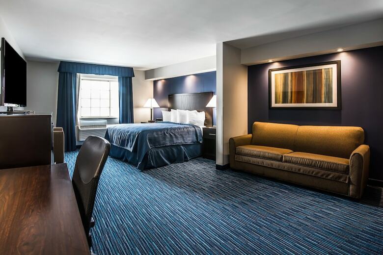 Hotel Quality Inn & Suites Downtown