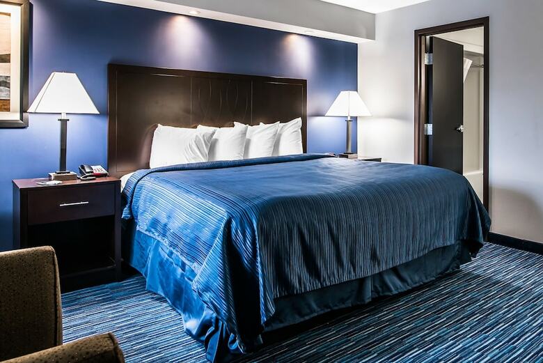 Hotel Quality Inn & Suites Downtown