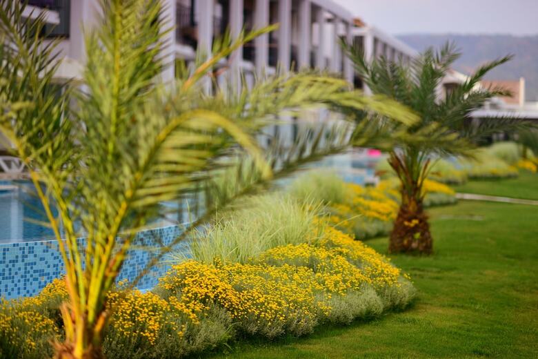 Hotel Jiva Beach Resort - All Inclusive