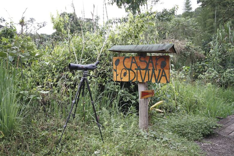 Posada Casa Divina Lodge