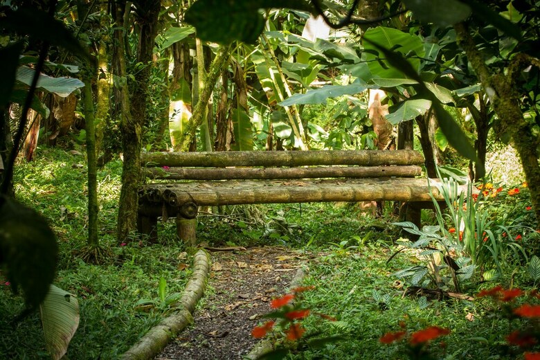 Posada Casa Divina Lodge