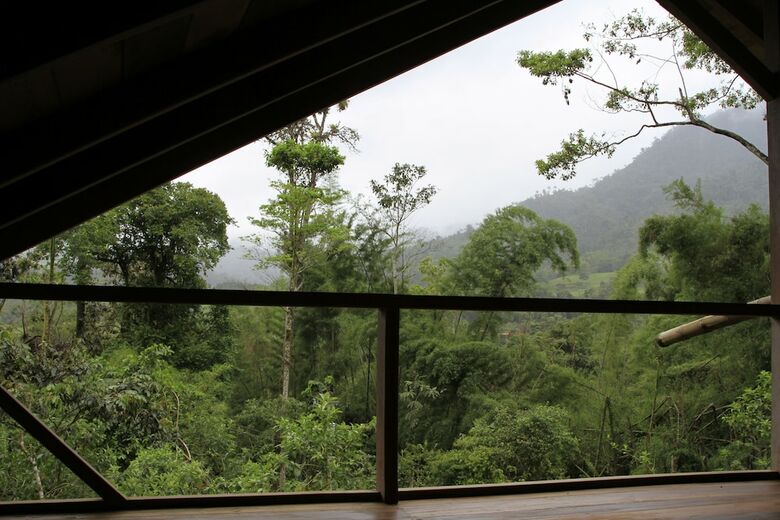 Posada Casa Divina Lodge
