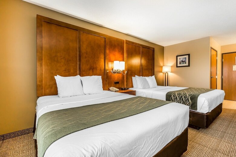 Hotel Comfort Inn Romeoville - Bolingbrook