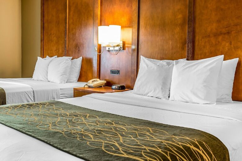 Hotel Comfort Inn Romeoville - Bolingbrook