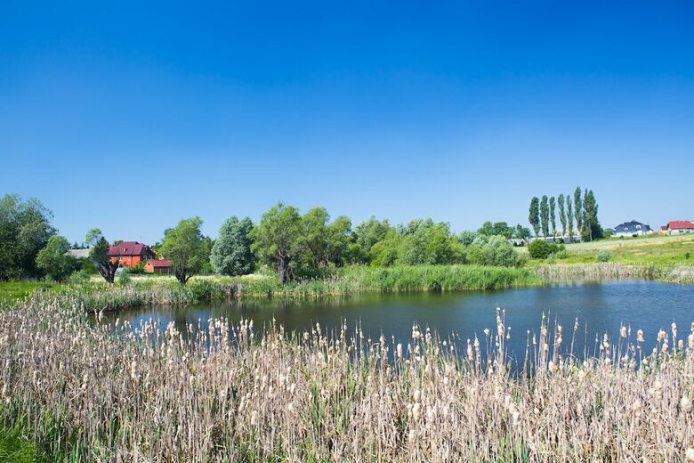 Hotel Zloty Staw