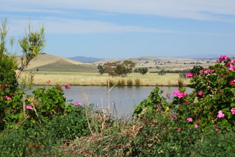 Bed & Breakfast Tuki Retreat