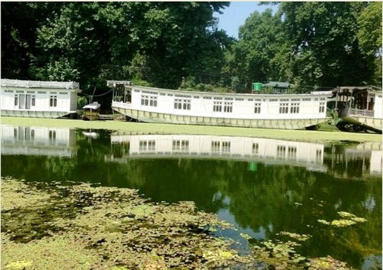 Butt's Clermont Houseboats