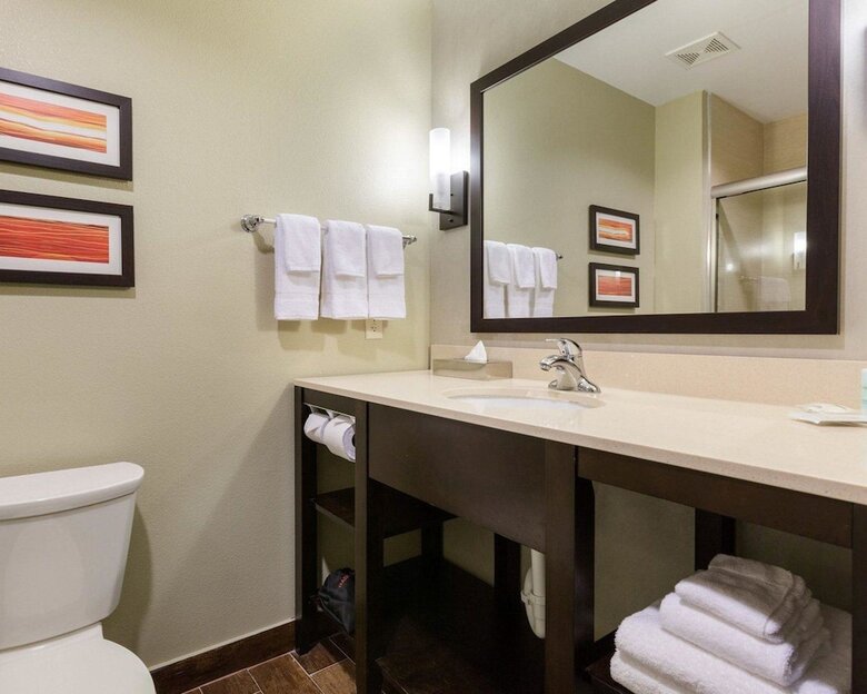 Hotel Comfort Suites Near Westchase On Beltway 8