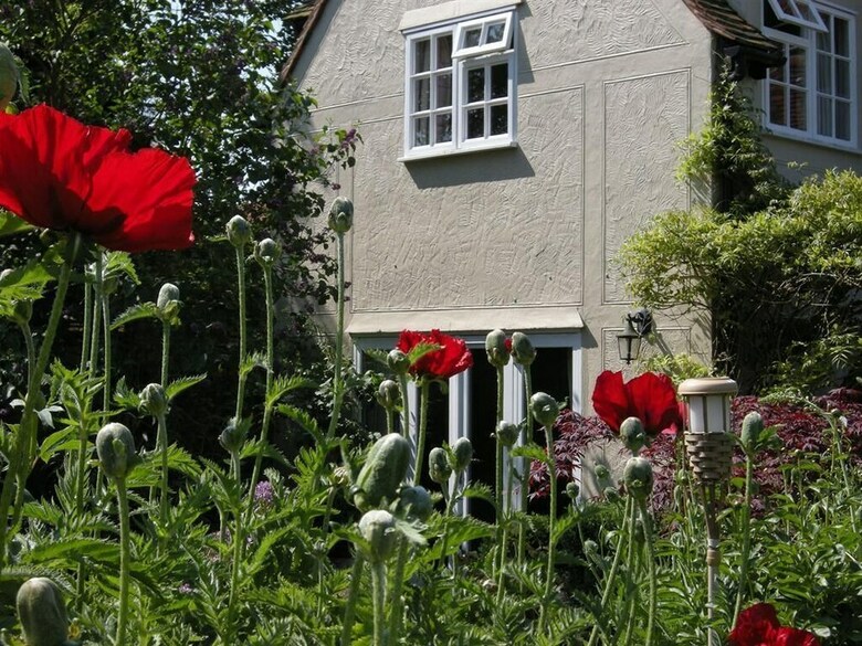 Bed & Breakfast Motts Cottage