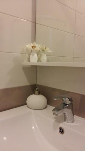 Apartment Adriatic