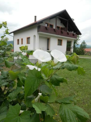 Hostal Guesthouse Matija