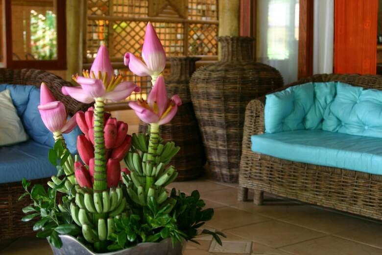 Apartamento Itamambuca Eco Resort