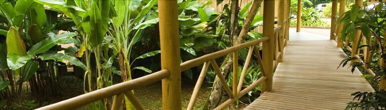Apartamento Itamambuca Eco Resort