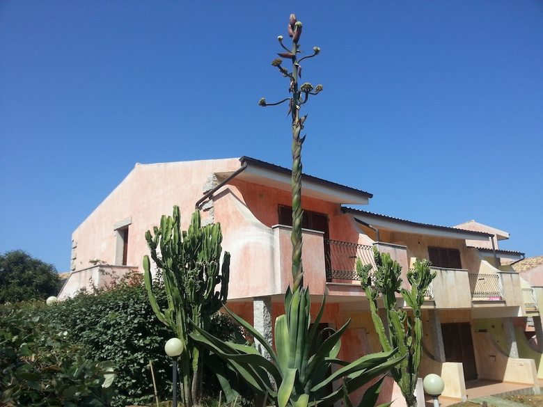 Costa Del Turchese