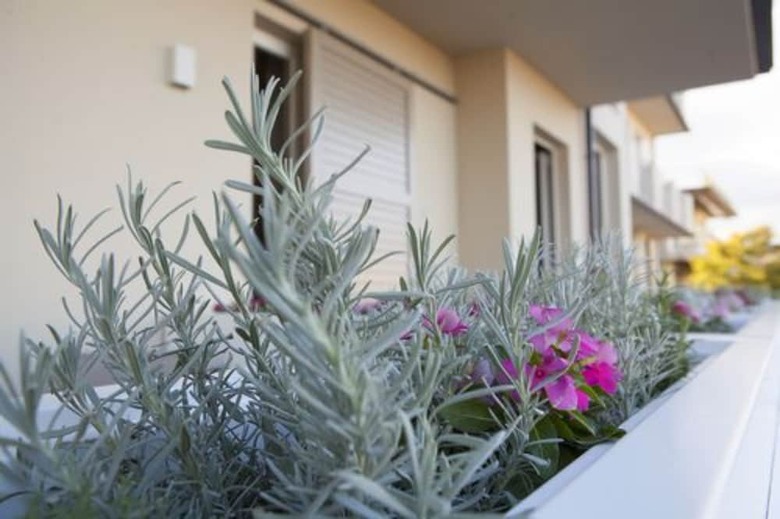 Hotel Palazzo Del Garda & Spa
