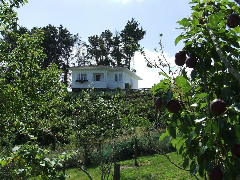 Runciman Berries And Emus B&B