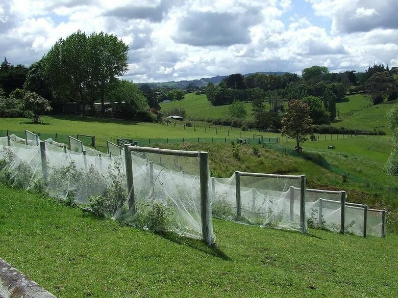 Runciman Berries And Emus B&B