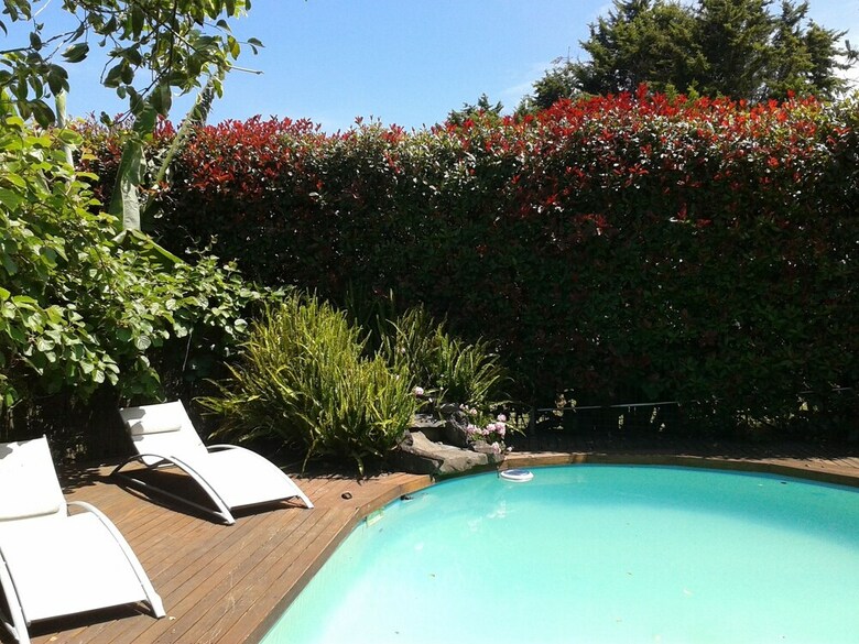 Runciman Berries And Emus B&B