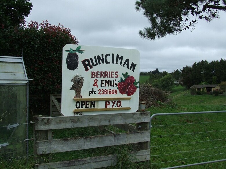 Runciman Berries And Emus B&B