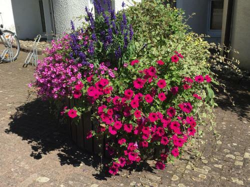 Hotel Restaurant Hochwiesm�hle