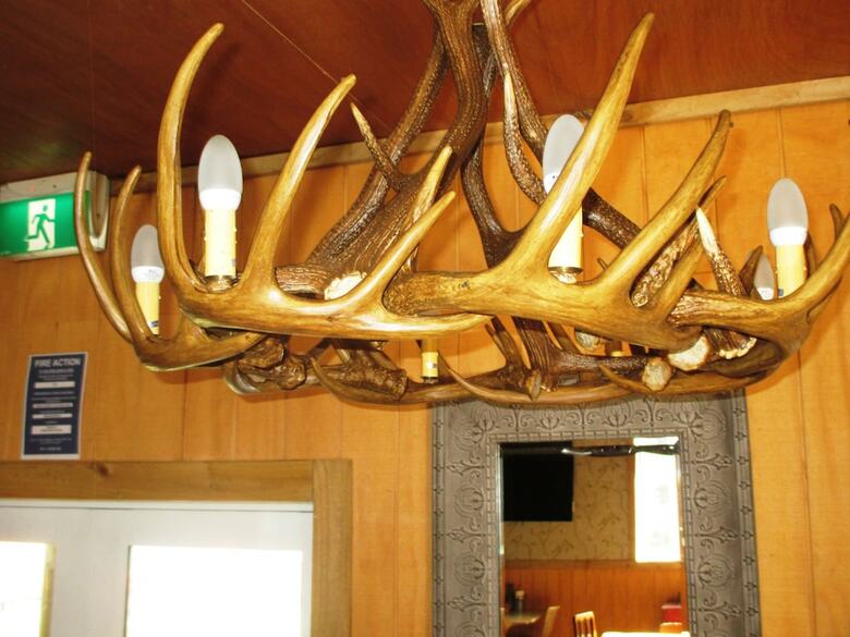 Owls Nest Motel