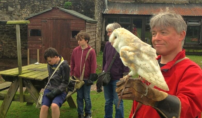 Bed & Breakfast Exmoor Owl & Hawk Centre