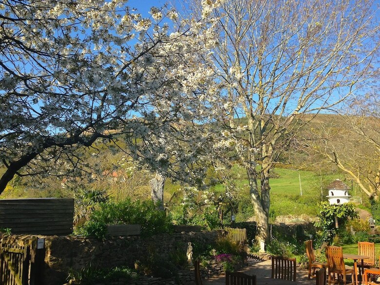 Bed & Breakfast Exmoor Owl & Hawk Centre