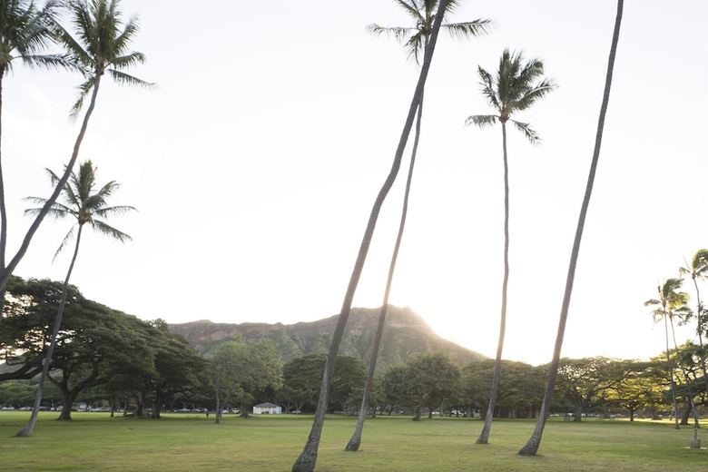 Hotel Lotus Honolulu At Diamond Head