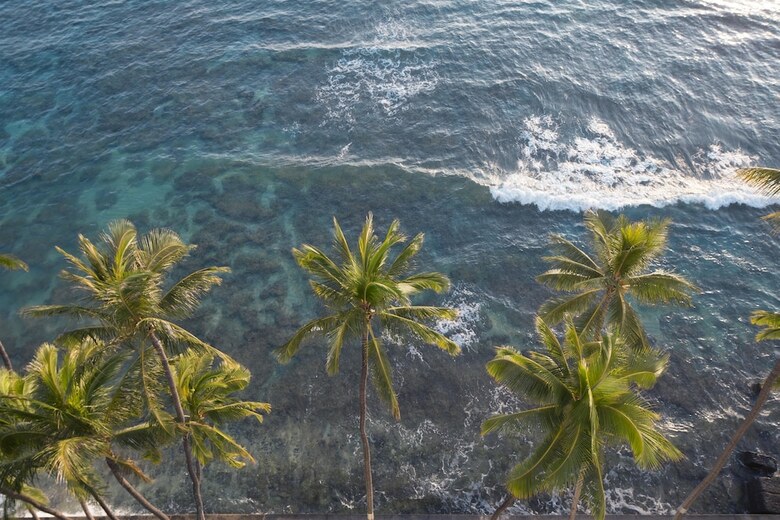 Hotel Lotus Honolulu At Diamond Head