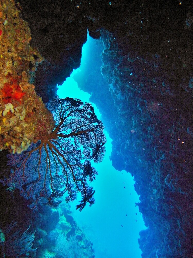 Apartamento Mai Dive Astrolabe Reef Resort