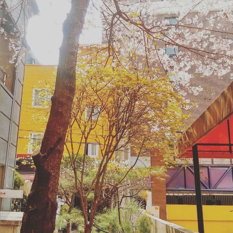 Hostal Oppahostel