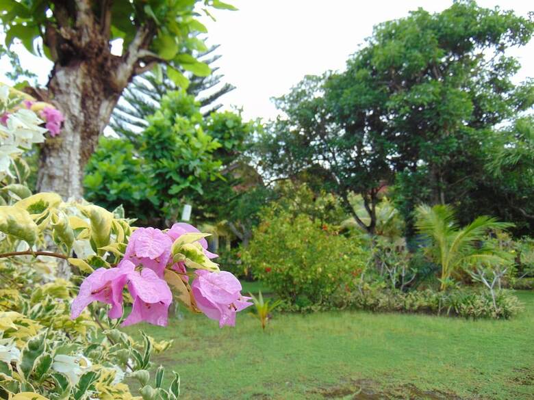Apartamento Ayu Guna Inn