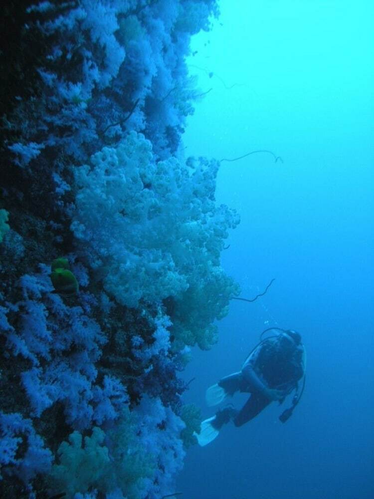 Apartamento Dolphin Bay Divers Retreat