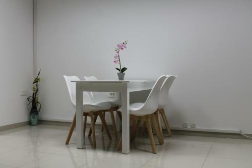 Apartments Dalmata