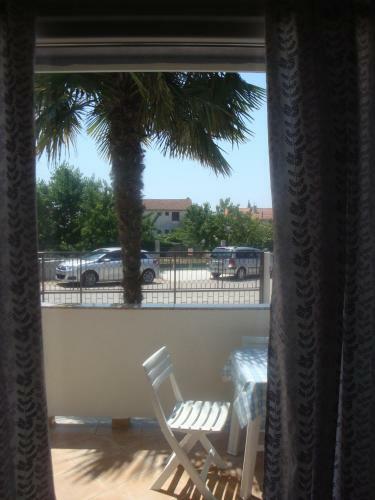 Apartments Branka