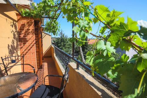 Hostal Apartments And Rooms Sinka