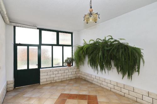 Apartments Vedrana