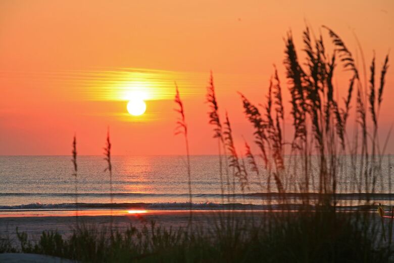 Hotel Guy Harvey Resort On St Augustine Beach