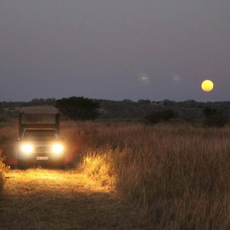 Posada Bonamanzi Game Reserve